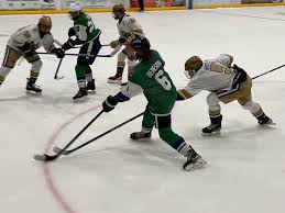 Image result for Ash Avalanche Skater Hockey Club