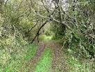 on the Anglo-Scottish border occupied by families of Border Reivers, - via Daymix