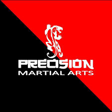 Image result for Precision Martial Arts