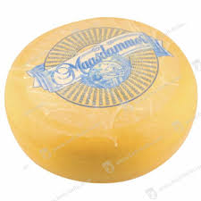 Image result for maasdammer