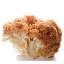 Attēlu rezultāti vaicājumam “Sparassis crispa”