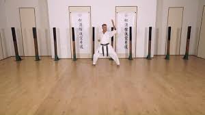 Image result for enpi dojo