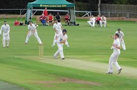 Image result for Hallam Cricket Club