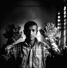 Image result for Lewandowsky-Lutz