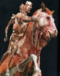 Resultado de imagen para sliced horse