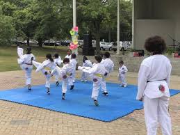 Image result for National Forest Taekwon-do