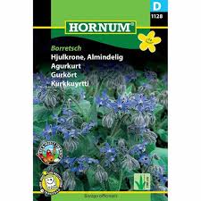 Image result for Borretsch