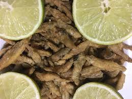 Attēlu rezultāti vaicājumam “Charales”