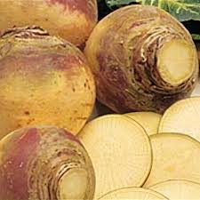 Attēlu rezultāti vaicājumam “Brassica napus fruit”