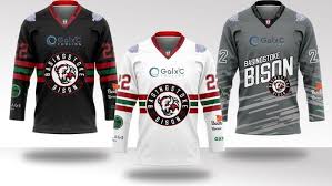 Image result for Basingstoke Bison Ice Hockey Club