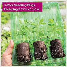 Image result for Nicotiana x sanderae `Perfume`F1