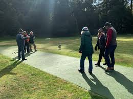 Image result for Blackwood Town Cricket Club