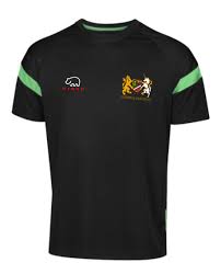 Image result for Widden Old Boys Rfc