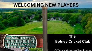 Image result for Bolney Cricket Club