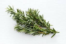 Image result for Rosmarin