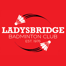 Image result for Felbridge Junior Badminton Club