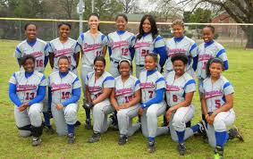 Image result for Dragons Softball Club