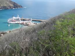 Attēlu rezultāti vaicājumam “Aranei exuvia”