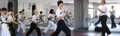 Image result for Hetton and Murton Karate Academy