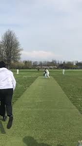 Image result for Bay Dragons CC