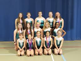 Image result for Vernon Park Gymnastics