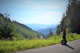 Image result for Go Ape! Whinlatter