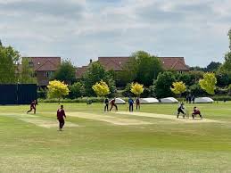Image result for Mildenhall Cricket Club