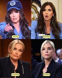 Image result for Bugaboo Cameleon Amy Poehler