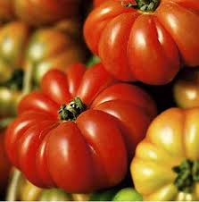 Afbeeldingsresultaat voor costoluto genovese tomato