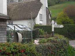 Image result for Dulverton Cc