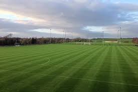 Image result for Wolfe Tones Gaelic Athletic Club