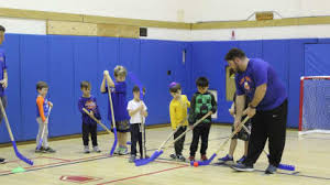 Image result for York University Street Hockey Club