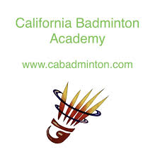Image result for Aca Badminton Club