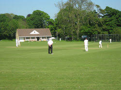 Image result for Ulgham Village Cricket Club