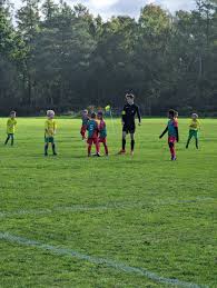 Image result for Mytchett Centre Football Club