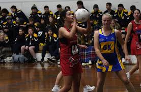 Image result for Astley Netball Club