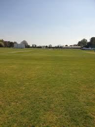 Image result for Sunbury Cricket Club