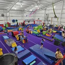 Image result for Fish trampoline and gymnastics club