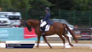 Image result for Interfreestyle Sport Karate