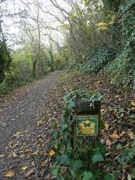 Image result for example