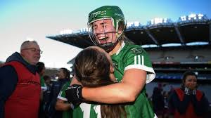 Image result for Sarsfields Hurling Club