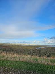 Image result for Earls Colne (Colchester) Badminton Club