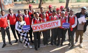 Image result for Hyde Park Netball Club