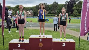 Image result for Much Wenlock Cricket Club