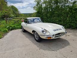 Image result for Old English White 1971 Jaguar