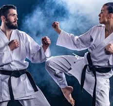 Image result for southern academy choi kwang do