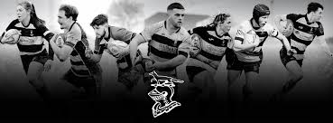 Image result for Luctonians Cricket Club