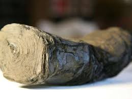 Image result for papirum