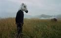 Sparklehorse Mark Linkous suicide knoxville