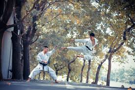 Image result for I T F Taekwondo (Andover)